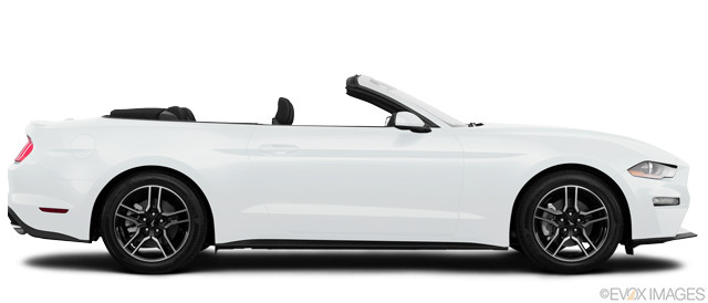 Image 2019 Ford Mustang #156