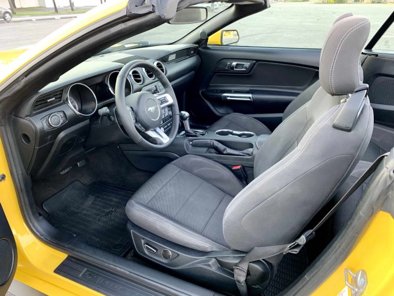 Ford Mustang pic #1265