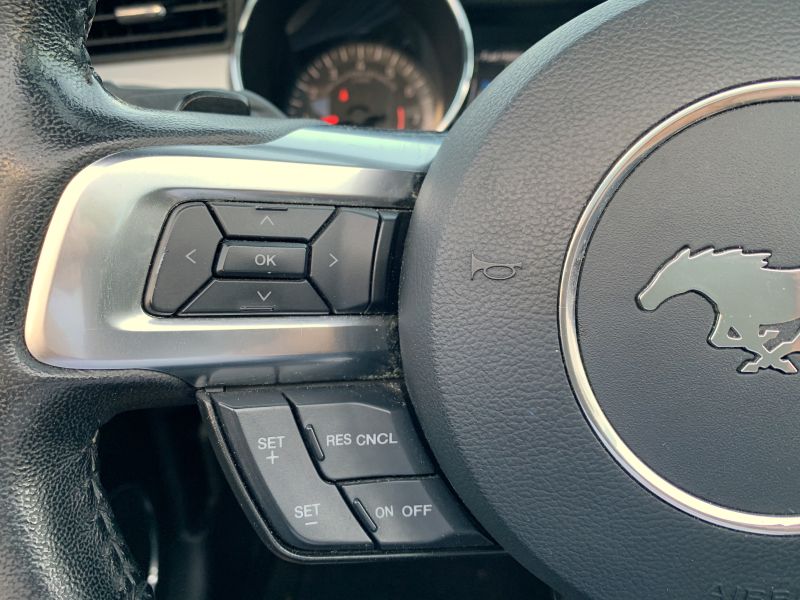 Ford Mustang pic #2029